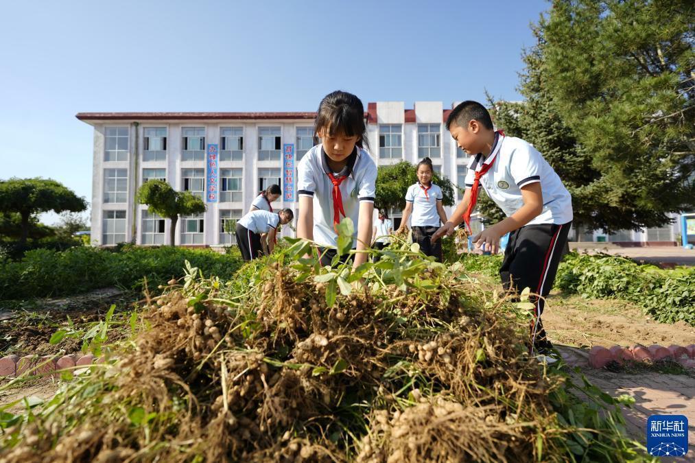 百老汇网站链接